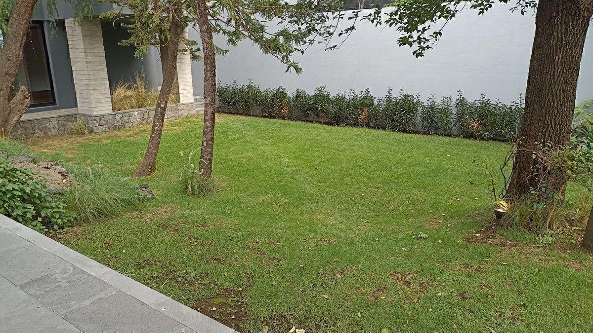 215, Lluvia, Jardines del Pedregal, 01900 215, Lluvia, Jardines del Pedregal, 01900